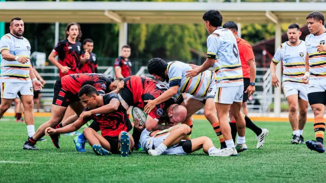 Rugby Team Management: A Practical Guide for Coaches